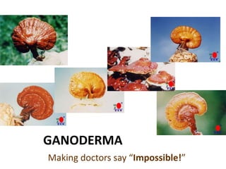 GANODERMA Making doctors say “Impossible!” 