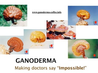 GANODERMA
Making doctors say “Impossible!”
www.ganoderma-coffee.info
 