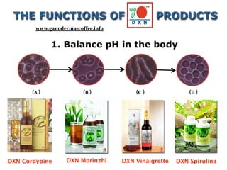 1. Balance pH in the body
（A ） （B ） （C ） （D ）
DXN Cordypine DXN Morinzhi DXN Vinaigrette DXN Spirulina
THE FUNCTIONS OF PRODUCTS
www.ganoderma-coffee.info
 