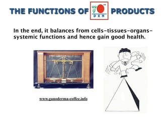 In the end, it balances from cells-tissues-organs-
systemic functions and hence gain good health.
THE FUNCTIONS OF PRODUCTS
www.ganoderma-coffee.info
 