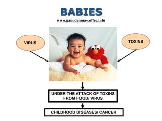 TOXINS
UNDER THE ATTACK OF TOXINS
FROM FOOD/ VIRUS
CHILDHOOD DISEASES/ CANCER
VIRUS
BABIES
www.ganoderma-coffee.info
 