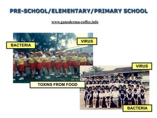 VIRUS
BACTERIA
PRE-SCHOOL/ELEMENTARY/PRIMARY SCHOOL
VIRUS
BACTERIA
TOXINS FROM FOOD
www.ganoderma-coffee.info
 
