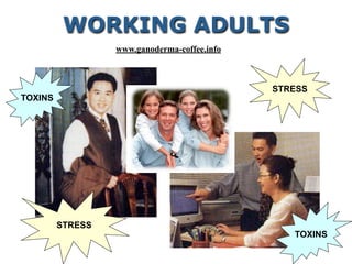 STRESS
STRESS
TOXINS
TOXINS
WORKING ADULTS
www.ganoderma-coffee.info
 