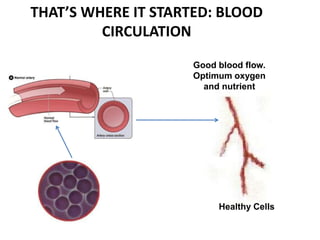 THAT’S WHERE IT STARTED: BLOOD
CIRCULATION
Healthy Cells
Good blood flow.
Optimum oxygen
and nutrient
 
