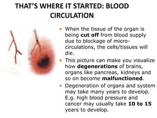 THAT’S WHERE IT STARTED: BLOOD
CIRCULATION
• When the tissue of the organ is
being cut off from blood supply
due to blockage of micro-
circulations, the cells/tissues will
die.
• This picture can make you visualize
how degenerations of brains,
organs like pancreas, kidneys and
so on become malfunctioned.
• Degeneration of organs and system
may take many years to develop.
E.g. high blood pressure and
cancer may usually take 10 to 15
years to develop.
 
