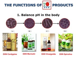 1. Balance pH in the body
（A ） （B ） （C ） （D ）
DXN Cordypine DXN Morinzhi DXN Vinaigrette DXN Spirulina
THE FUNCTIONS OF PRODUCTS
 