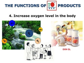 4. Increase oxygen level in the body
THE FUNCTIONS OF PRODUCTS
DXN GL
 