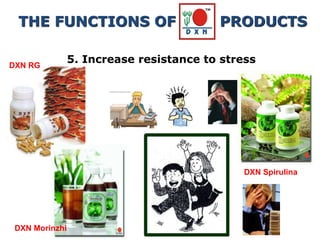 DXN Spirulina
DXN Morinzhi
DXN RG
5. Increase resistance to stress
THE FUNCTIONS OF PRODUCTS
 