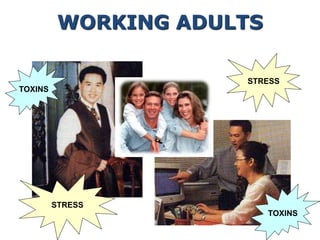 STRESS
STRESS
TOXINS
TOXINS
WORKING ADULTS
 