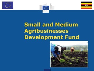 Small and Medium
Agribusinesses
Development Fund
Tailoring
1
 