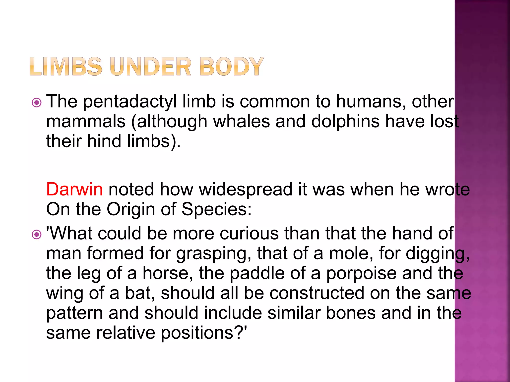  The pentadactyl limb is common to humans, other
mammals (although whales and dolphins have lost
their hind limbs).
Darwin noted how widespread it was when he wrote
On the Origin of Species:
 'What could be more curious than that the hand of
man formed for grasping, that of a mole, for digging,
the leg of a horse, the paddle of a porpoise and the
wing of a bat, should all be constructed on the same
pattern and should include similar bones and in the
same relative positions?'
 