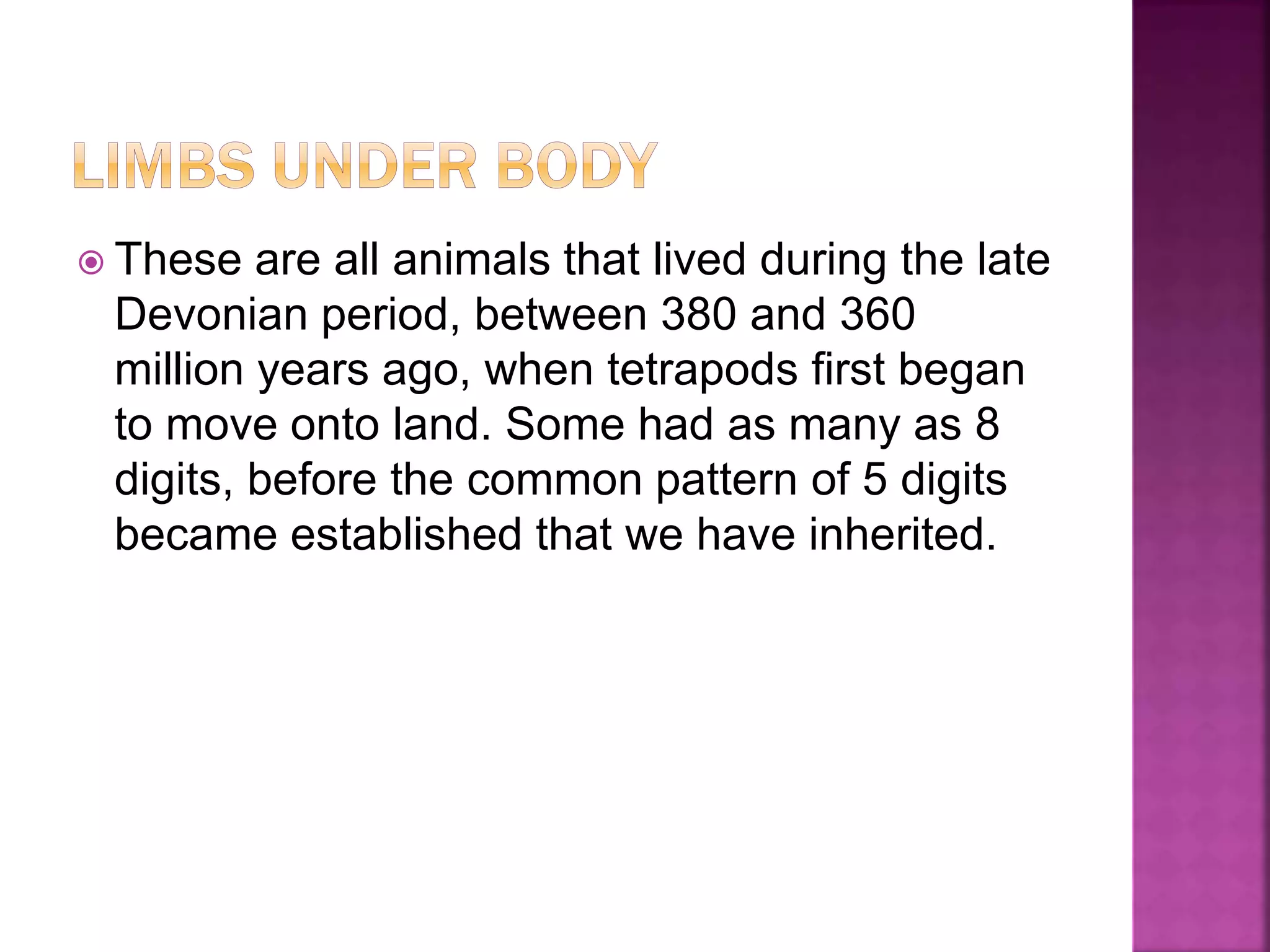  These are all animals that lived during the late
Devonian period, between 380 and 360
million years ago, when tetrapods first began
to move onto land. Some had as many as 8
digits, before the common pattern of 5 digits
became established that we have inherited.
 