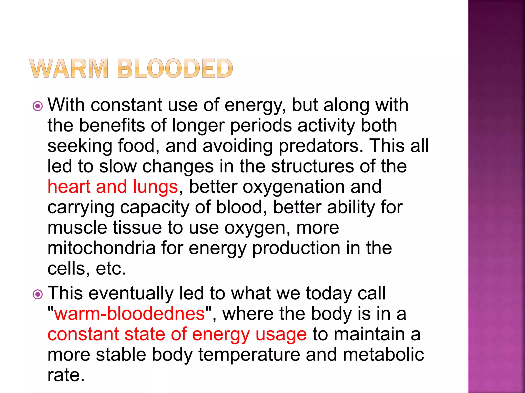  With constant use of energy, but along with
the benefits of longer periods activity both
seeking food, and avoiding predators. This all
led to slow changes in the structures of the
heart and lungs, better oxygenation and
carrying capacity of blood, better ability for
muscle tissue to use oxygen, more
mitochondria for energy production in the
cells, etc.
 This eventually led to what we today call
"warm-bloodednes", where the body is in a
constant state of energy usage to maintain a
more stable body temperature and metabolic
rate.
 