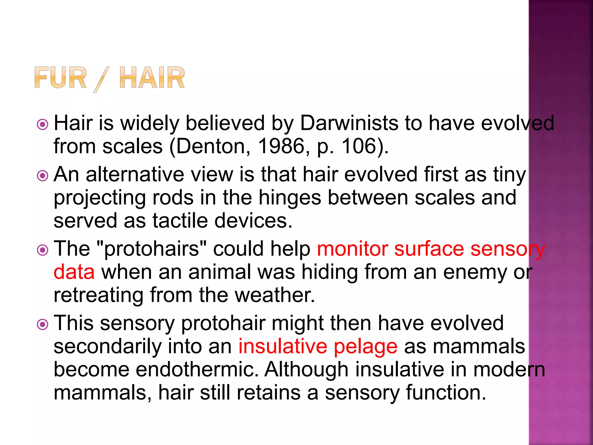  Hair is widely believed by Darwinists to have evolved
from scales (Denton, 1986, p. 106).
 An alternative view is that hair evolved first as tiny
projecting rods in the hinges between scales and
served as tactile devices.
 The "protohairs" could help monitor surface sensory
data when an animal was hiding from an enemy or
retreating from the weather.
 This sensory protohair might then have evolved
secondarily into an insulative pelage as mammals
become endothermic. Although insulative in modern
mammals, hair still retains a sensory function.
 