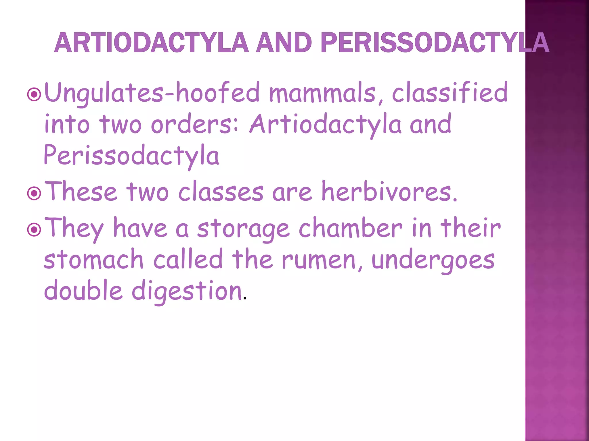 Ungulates-hoofed mammals, classified
into two orders: Artiodactyla and
Perissodactyla
These two classes are herbivores.
They have a storage chamber in their
stomach called the rumen, undergoes
double digestion.
43
 