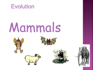 1
Mammals
Evolution
 