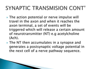  The action potential or nerve impulse will
travel in the axon and when it reaches the
axon terminal, a set of events will be
triggered which will release a certain amount
of neurotransmitter (NT) e.g acetylcholine
(Ach).
 The NT then accumulates in a synapse and
generates a postsynaptic voltage potential in
the next cell of a nerve pathway sequence.
 