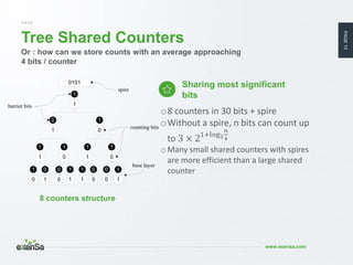 PAGE13
www.exensa.com
Tree Shared Counters
Sharing most significant
bits
8 counters structure
o8 counters in 30 bits + spi...