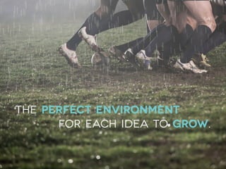 the perfect environment
for each idea to grow.
 