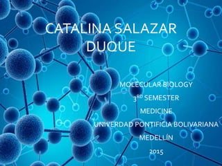 CATALINA SALAZAR
DUQUE
MOLECULAR BIOLOGY
3RD SEMESTER
MEDICINE
UNIVERDAD PONTIFICIA BOLIVARIANA
MEDELLÍN
2015
 