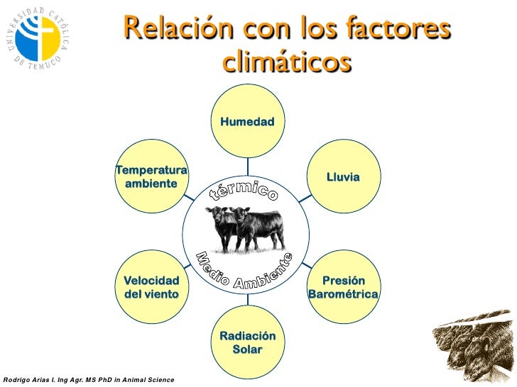 Cambio Climático y su impacto en la Producción Bovina