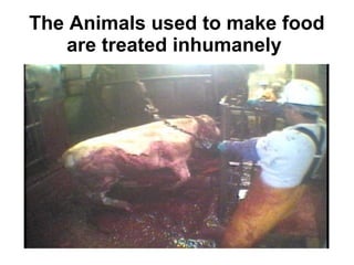 The Animals used to make food
   are treated inhumanely
 