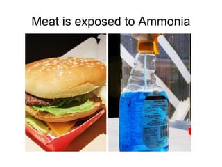 Meat is exposed to Ammonia
 