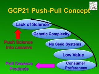 Global Cassava Partnership for the 21st Century (GCP21), a cassava platform to develop improvement strategies