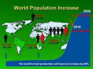 Global Cassava Partnership for the 21st Century (GCP21), a cassava platform to develop improvement strategies