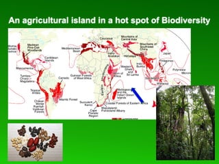 Global Cassava Partnership for the 21st Century (GCP21), a cassava platform to develop improvement strategies