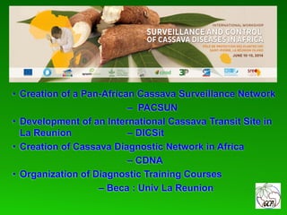 Global Cassava Partnership for the 21st Century (GCP21), a cassava platform to develop improvement strategies