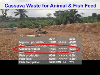 Global Cassava Partnership for the 21st Century (GCP21), a cassava platform to develop improvement strategies
