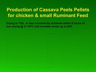 Global Cassava Partnership for the 21st Century (GCP21), a cassava platform to develop improvement strategies