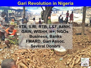 Global Cassava Partnership for the 21st Century (GCP21), a cassava platform to develop improvement strategies