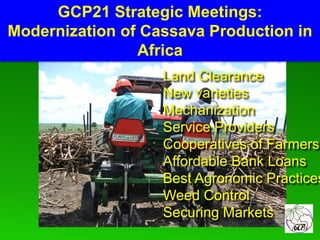 Global Cassava Partnership for the 21st Century (GCP21), a cassava platform to develop improvement strategies