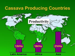 Global Cassava Partnership for the 21st Century (GCP21), a cassava platform to develop improvement strategies