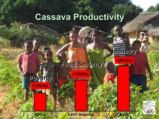 Global Cassava Partnership for the 21st Century (GCP21), a cassava platform to develop improvement strategies