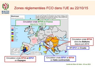 Zones réglementées FCO dans l’UE au 22/10/15
Circulation virale BTV4
dans les Balkans
depuis juin 2014
Circulation virale BTV4 et BTV1
en Espagne
Circulation virale BTV1 et BTV4
en Italie continentale
Comité de filière OV Idele – 03 nov 2015
ET BTV1 en Croatie
Circulation virale BTV8 en France
depuis le 11/09/15
 