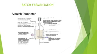 BATCH FERMENTATION
 