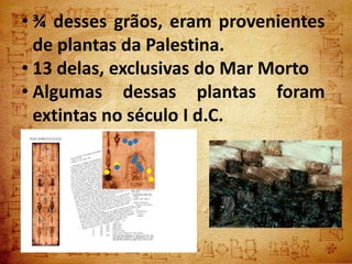 • ¾ desses grãos, eram provenientes
  de plantas da Palestina.
• 13 delas, exclusivas do Mar Morto
• Algumas dessas plantas foram
  extintas no século I d.C.
 
