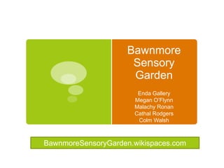 Bawnmore Sensory Garden Enda Gallery Megan O’Flynn Malachy Ronan Cathal Rodgers Colm Walsh BawnmoreSensoryGarden.wikispaces.com 