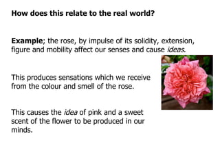 How does this relate to the real world? Example ; the rose, by impulse of its solidity, extension, figure and mobility affect our senses and cause  ideas . This produces sensations which we receive from the colour and smell of the rose. This causes the  idea  of pink and a sweet scent of the flower to be produced in our minds. 