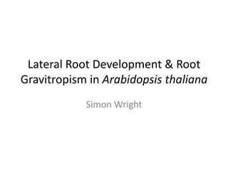 Lateral Root Development & Root Gravitropism in Arabidopsis thaliana Simon Wright 