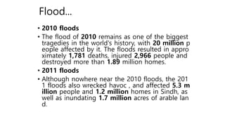 Climate Change In Pakistan | PPTX