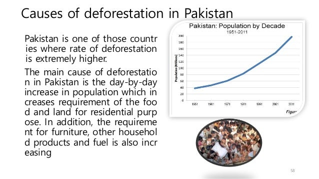 Articles on deforestation in pakistan image