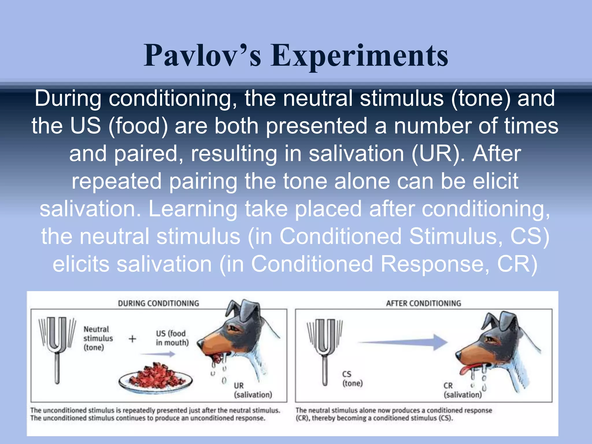 Pavlov’s Experiments
During conditioning, the neutral stimulus (tone) and
the US (food) are both presented a number of times
and paired, resulting in salivation (UR). After
repeated pairing the tone alone can be elicit
salivation. Learning take placed after conditioning,
the neutral stimulus (in Conditioned Stimulus, CS)
elicits salivation (in Conditioned Response, CR)
 