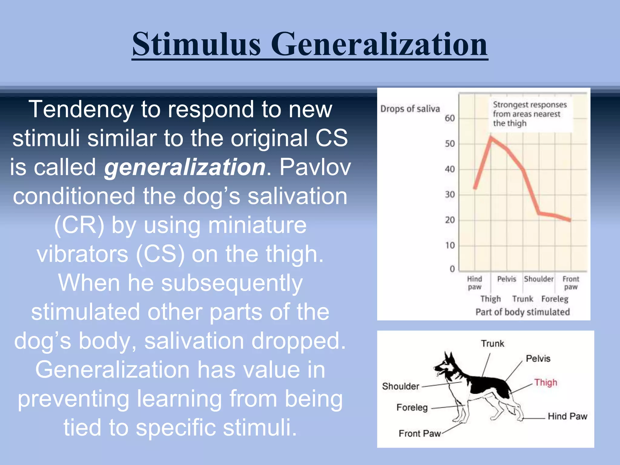 Stimulus Generalization
Tendency to respond to new
stimuli similar to the original CS
is called generalization. Pavlov
conditioned the dog’s salivation
(CR) by using miniature
vibrators (CS) on the thigh.
When he subsequently
stimulated other parts of the
dog’s body, salivation dropped.
Generalization has value in
preventing learning from being
tied to specific stimuli.
 