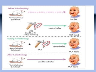 Classical Conditioning according to Pavlov and J.b Waston | PPTX