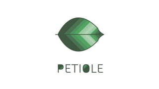 Petiole GistTech-I Final