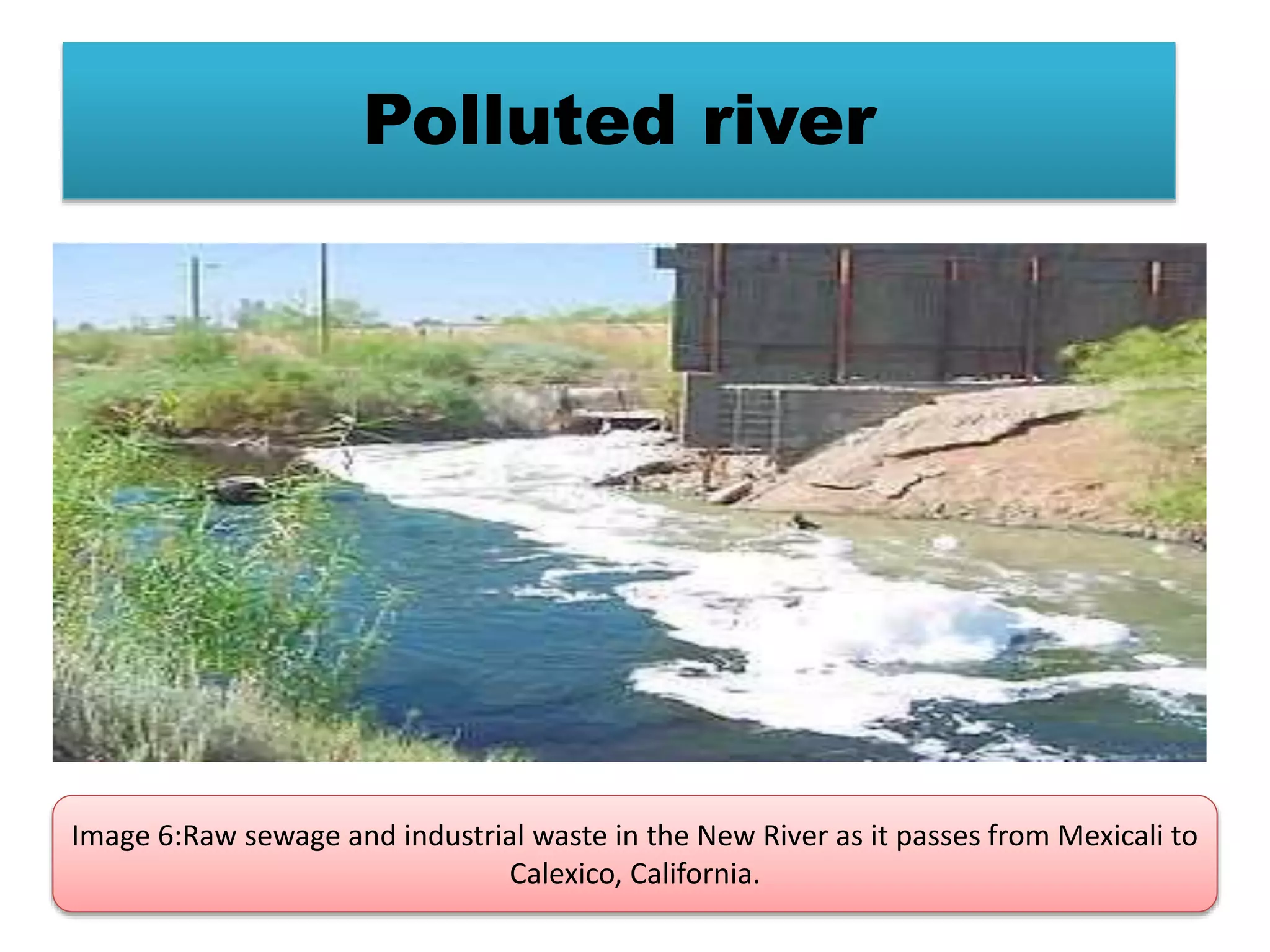 Polluted river 
Image 6:Raw sewage and industrial waste in the New River as it passes from Mexicali to 
Calexico, California. 
 